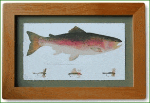 Watercolor Trout Paintings