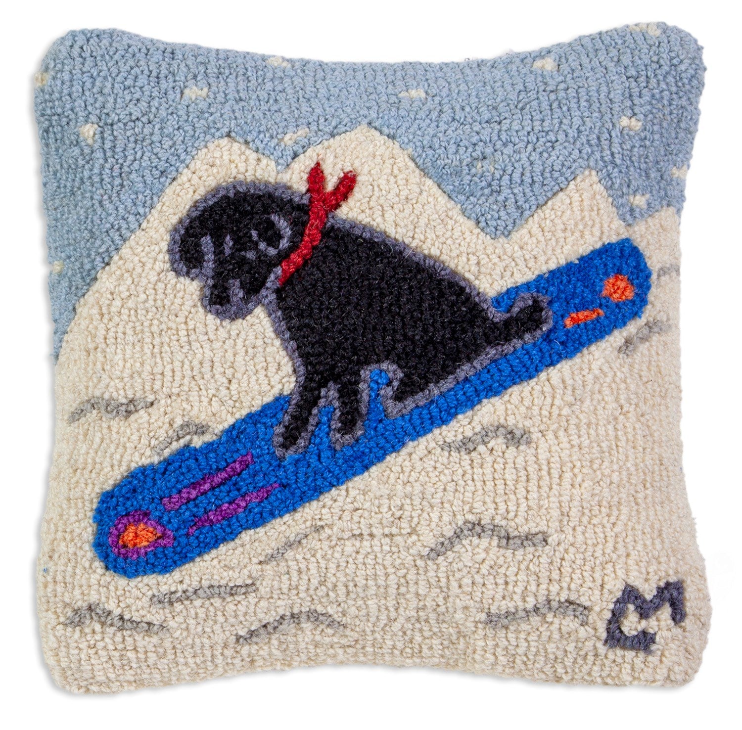 Snowboard Lab (14