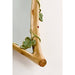 22" x 44.5" Hand Painted Twig & Ivy with Cardinals Mirror