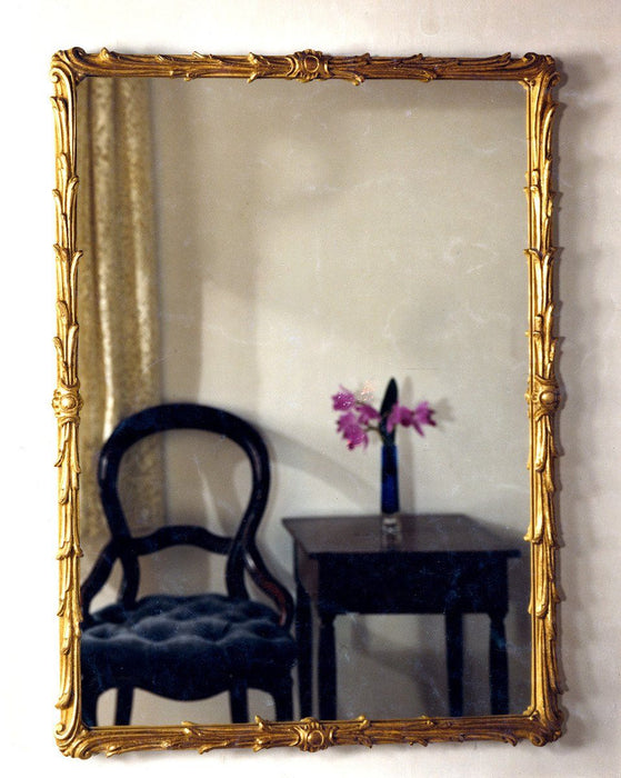 Acanthus Leaf Finished Frame with Beveled Mirror 28" x 38"